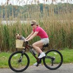 En bicicleta con tus perros, ¡el paseo ideal!